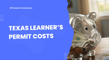 Texas Learners Permit Cost 