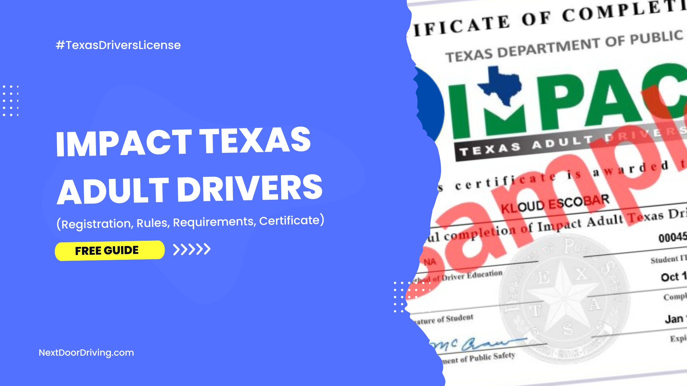 Impact Texas Adult Drivers Course
